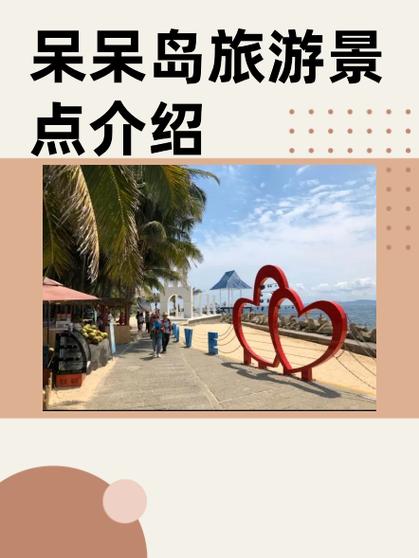 如何去呆呆岛