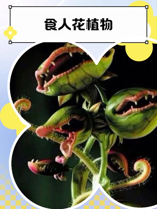 食人花的危害
