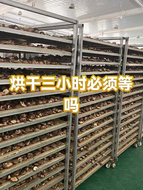 单烘干3个小时没事吧