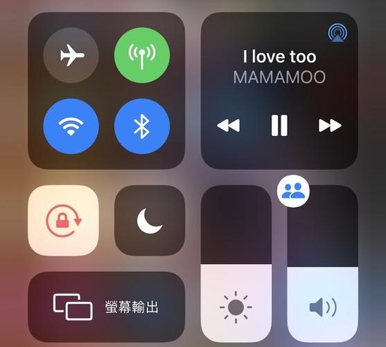 苹果调音量在哪设置