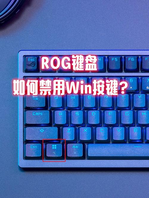 禁用windows键
