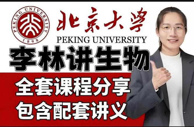 E网课