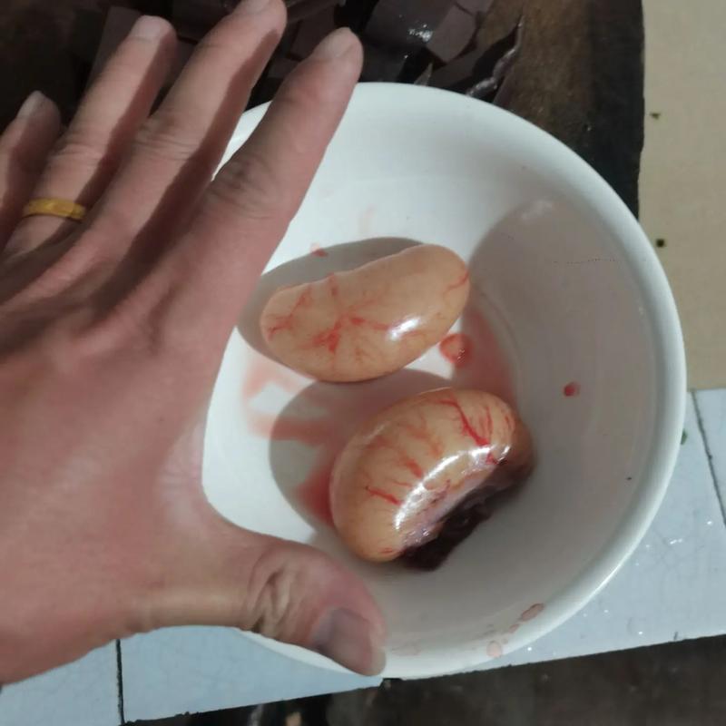 卵蛋网V