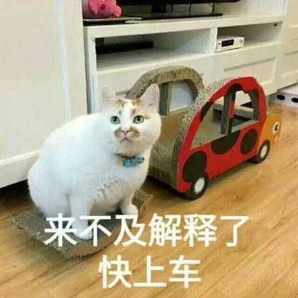 来不及了快上车啥意思