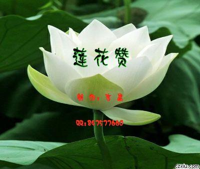 正版香港莲花报图纸