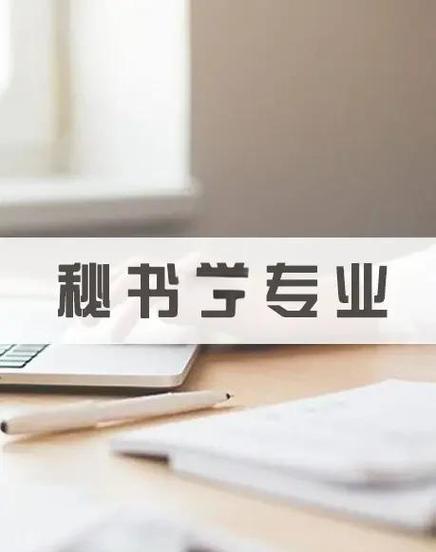 秘书培养经过哪个阶段