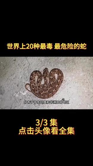 毒分几种