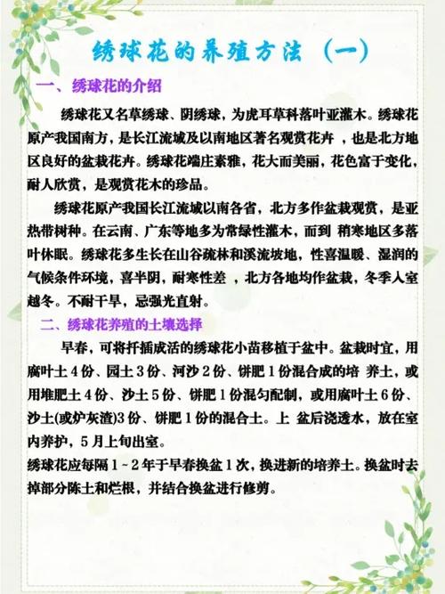 绣球花种植方法与技巧缩略图