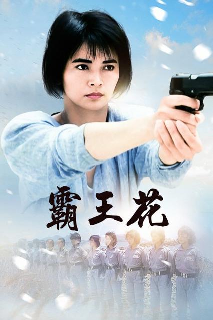 电影《霸王花2》