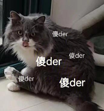 女孩叫你傻der是什么意思缩略图