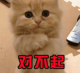 认错表情包gif
