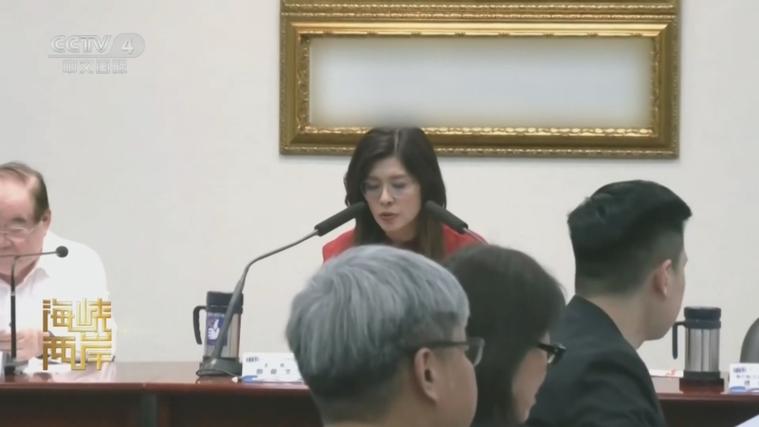 郑丽文:全世界都不支持台独