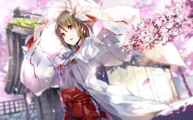樱花tv网页登录截图