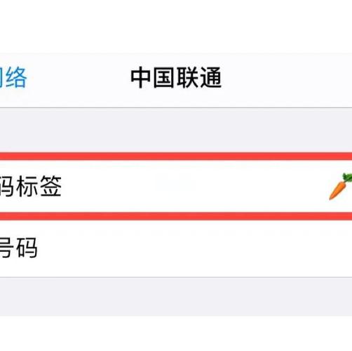 苹果11如何恢复双卡