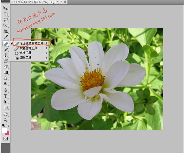 手机相机出现黑点,是什么问题缩略图