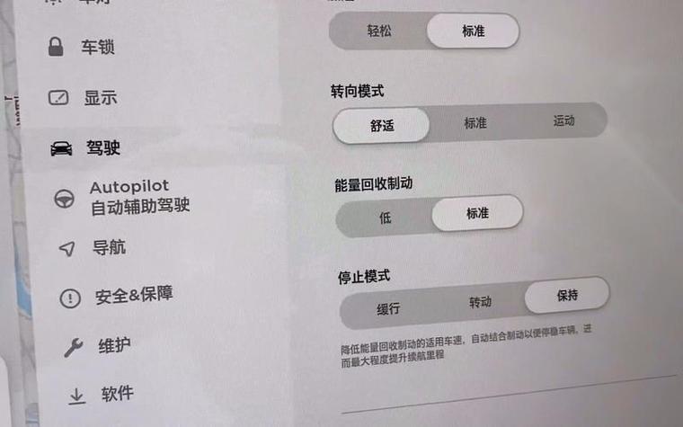 特斯拉模式有哪些