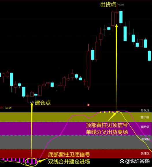 DDX在线查