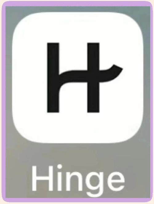 hinge软件下载地址游戏截图