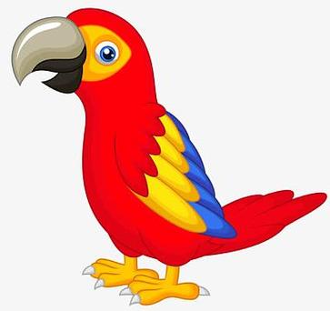 鹦鹉漫画图片