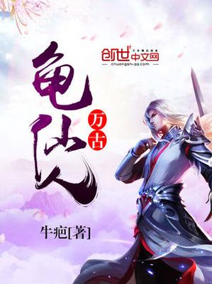 穿越成龟仙人的小说