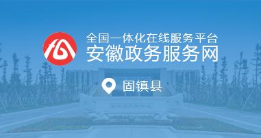 安徽政务服务网