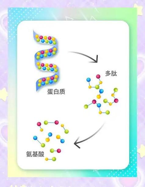 多肽白天用还是晚上用缩略图