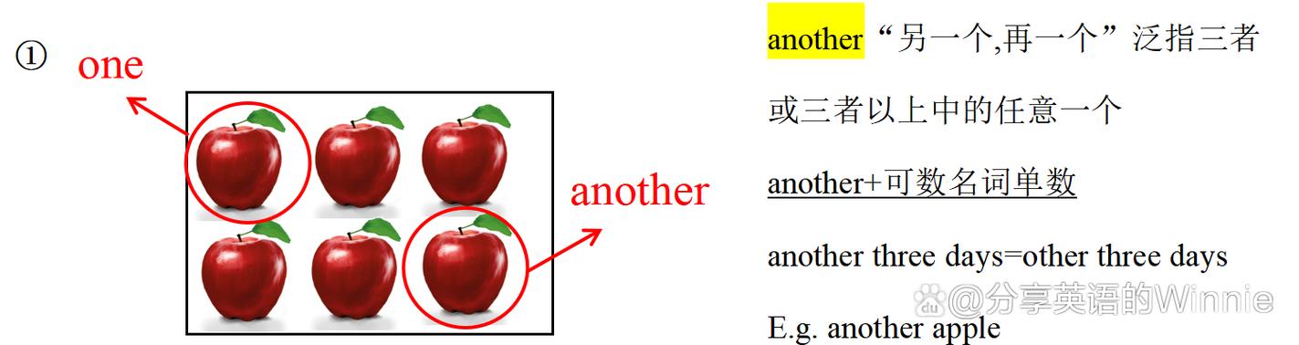 五个other的题目及答案