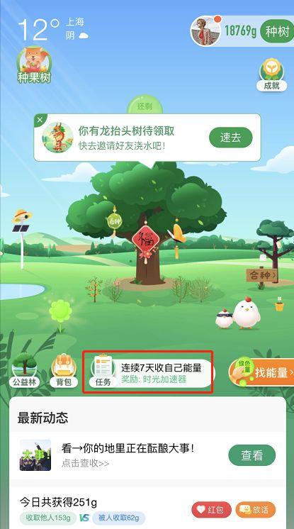 支付宝线下支付绿色能量