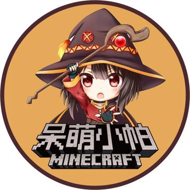 呆萌小帕照片