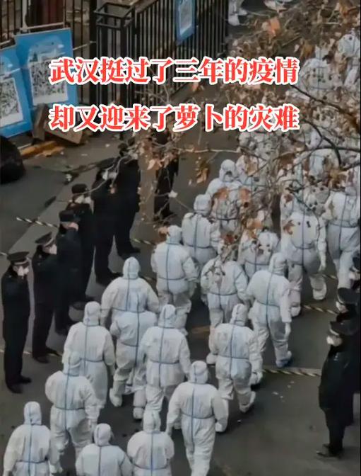 疫情三年是哪三年