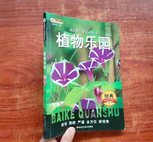 植物乐园