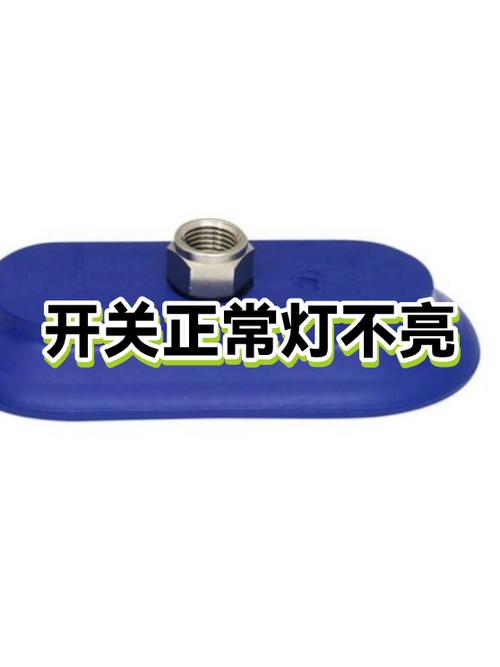 开关开了灯不亮什么原因
