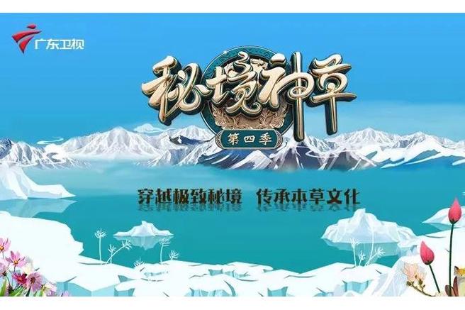 秘境神草 纪录片下载
