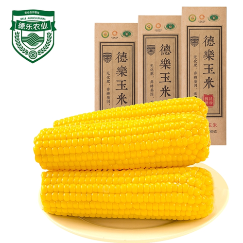 德乐玉米怎么样
