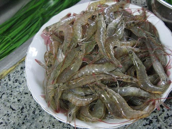 河虾图片