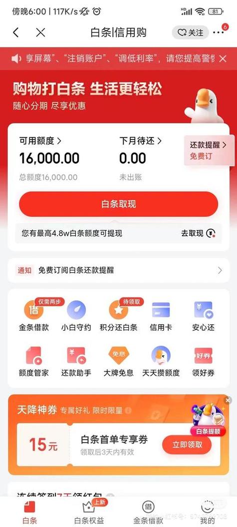 京东金融白条是什么