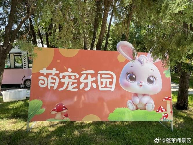 那就是爱心乐园