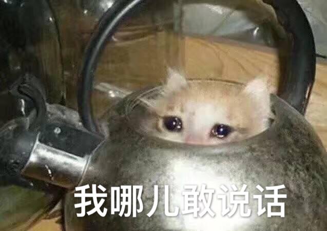 敢躲我试试截图