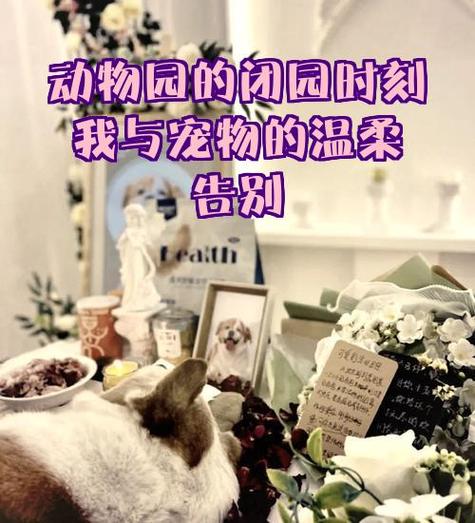 星际动物饲养指南免费