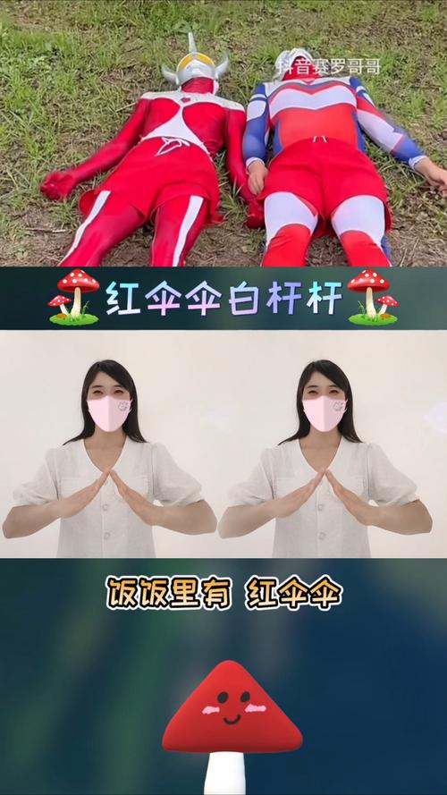 小红伞有必要安装吗
