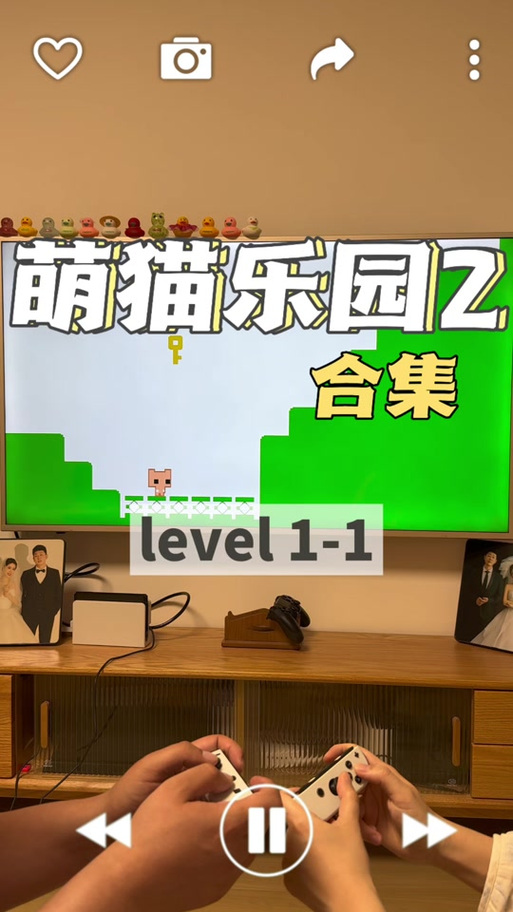萌猫公园联机图标