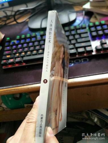 疯狂的艺术 模组