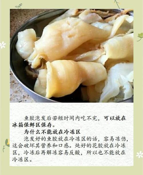 鱼胶放的时间越久越好吗