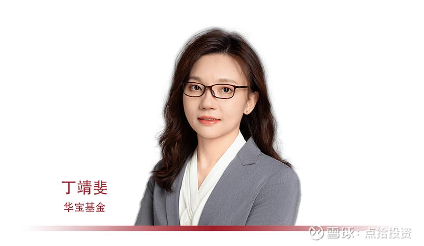 华宝资源优选混合基金净值