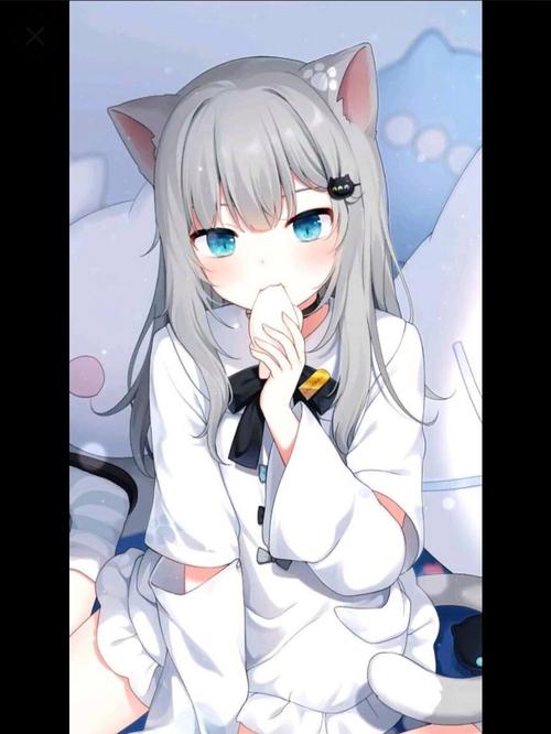 猫卡优品分期是真的么