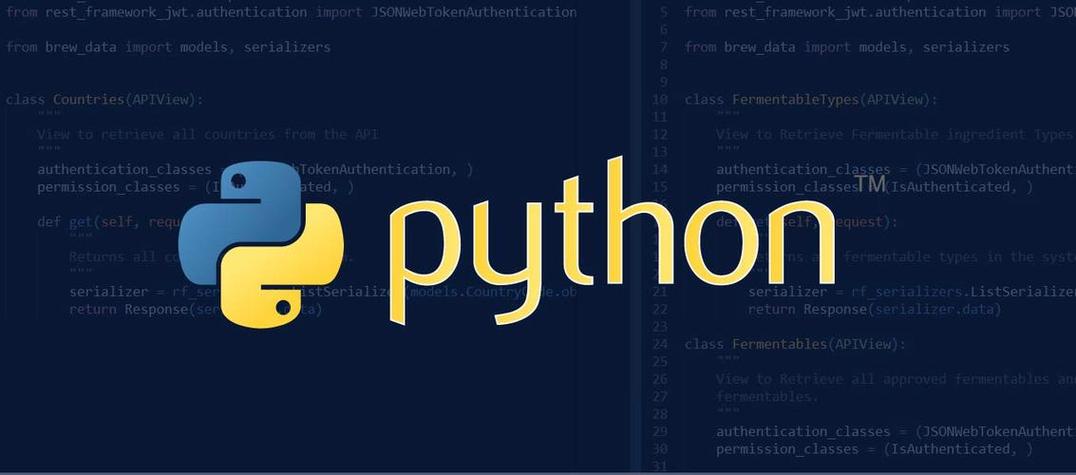 python打开网站