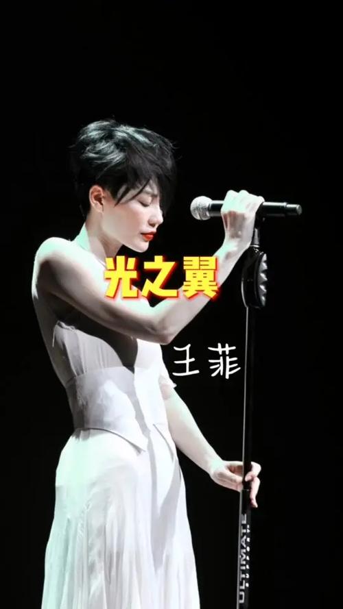 王菲的光之翼的歌词