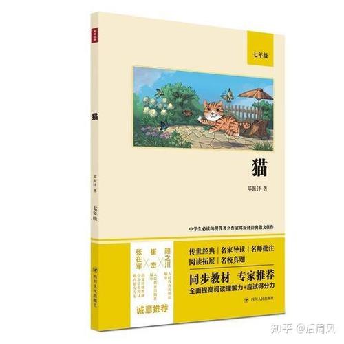 最受欢迎的小猫阅读