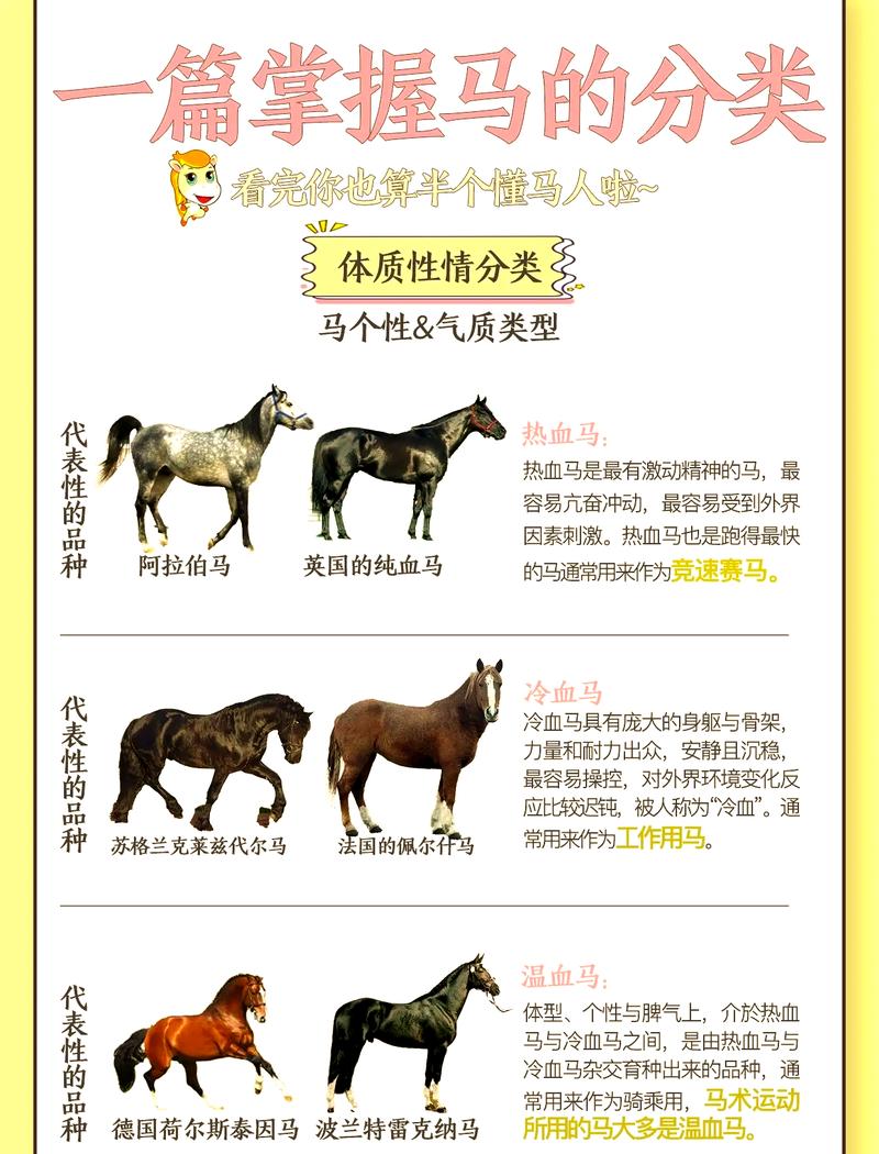 马子是什么意思