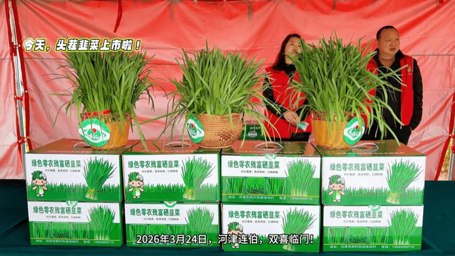 韭菜品牌排行榜前十名